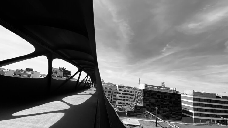 Luxembourg - Pedestrian Bridge in Esch/Alzette Diana Raycheva