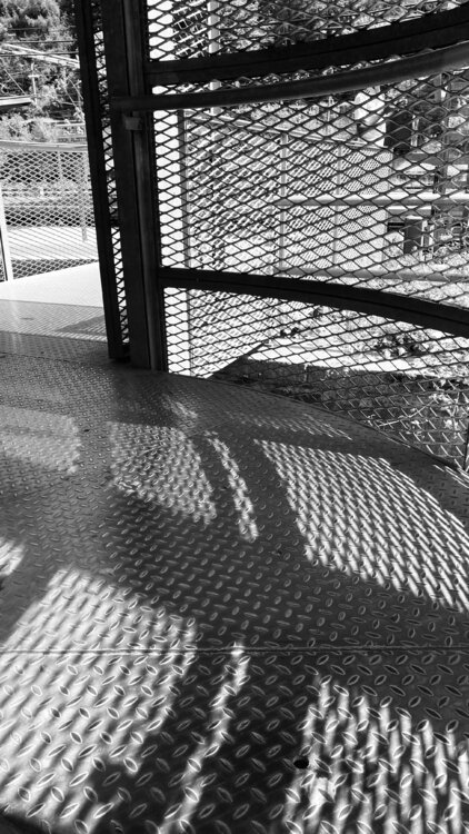 Pedestrian Bridge in Esch/Alzette - Luxembourg Diana Raycheva
