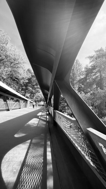 Pedestrian Bridge in Esch/Alzette - Luxembourg Diana Raycheva