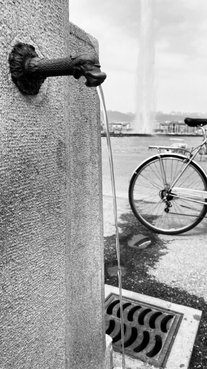 Jet d'Eau Fountain Geneva Diana Raycheva
