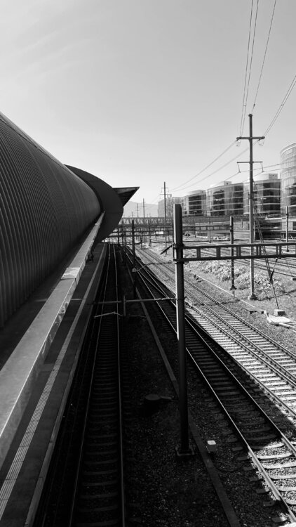 Geneva train station and Business Architecture Diana Raycheva