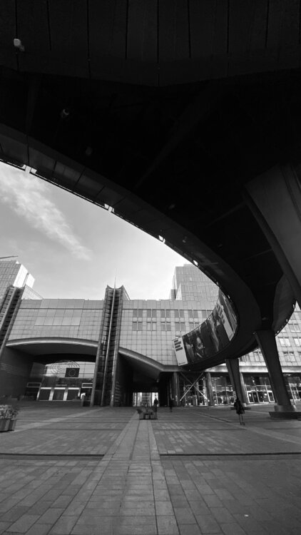 Brussels - European Parliament composition Diana Raycheva