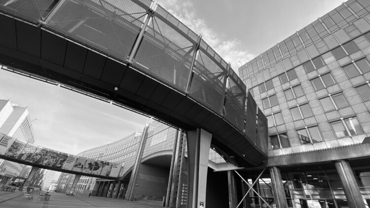 Brussels - European Parliament composition Diana Raycheva