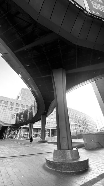 Brussels - European Parliament composition Diana Raycheva