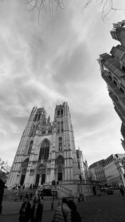 Brussels -Cathedral inspirations Diana Raycheva