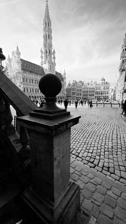 Brussels - Grande Place Diana Raycheva