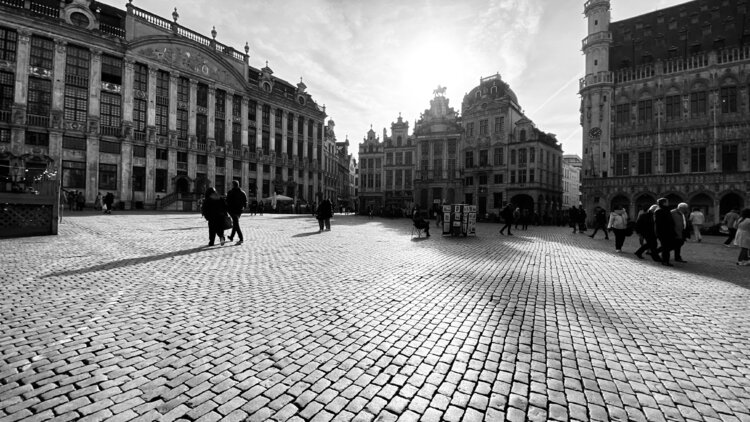 Brussels - Grande Place Diana Raycheva