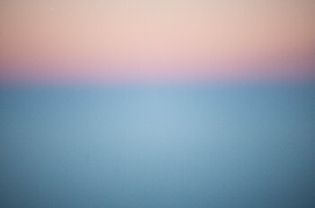 Dawn Johannes Siegler