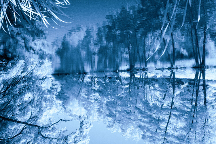 Spiegelung4 Johannes Siegler