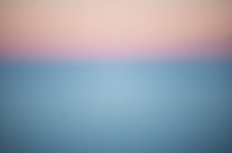 Dawn Johannes Siegler